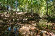 Top Broken Bow