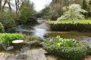 Top Ambleside