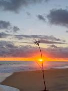 Ayomal Beach Paradise