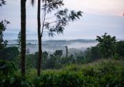 Top Wayanad
