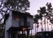 Top Wayanad