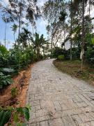 Top Wayanad