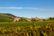 Tenuta Santavenere