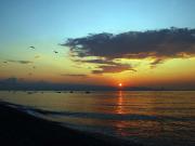 Top Furci Siculo