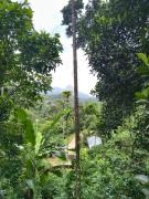 Top Meppādi