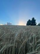 Casale Le Casole cuore in Umbria