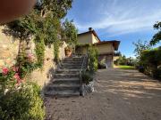 Top Camaiore