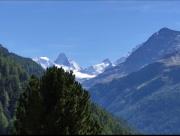 Top Saint-Luc