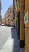 Top Genoa