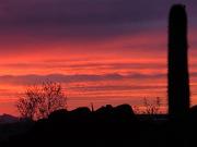 Top Tucson