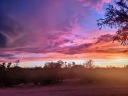 Top Tucson