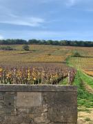 Top Savigny-lès-Beaune