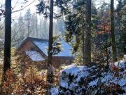 Top Planina