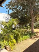 Top Livingstone