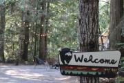 Top Port Angeles