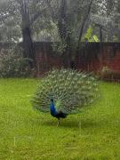 Top New Delhi