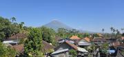 Top Amed