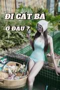 Top Cát Bà