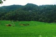 Top Lao Cai