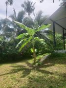 Top Ko Phangan