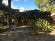 Top Capo Coda Cavallo