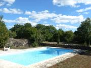 Top Beauregard
