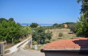 Top Viterbo