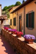 Top Fiesole