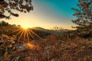 Top Dharampur