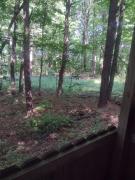 Top Rockbridge