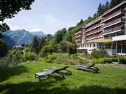 Top Wengen
