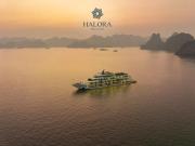 Top Ha Long