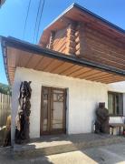 Top Palyanytsya