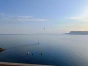 Top Scilla