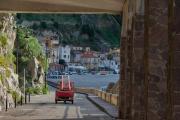Top Scilla