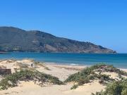 Top Bizerta