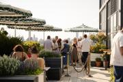 Top Brooklyn