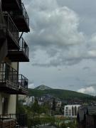Top Palyanytsya