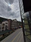 Top Palyanytsya