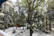 Top Lake Arrowhead