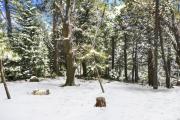 Top Lake Arrowhead