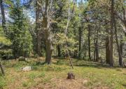 Top Lake Arrowhead