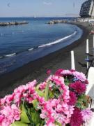 Top Torre del Greco