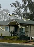 Top Canberra