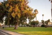 Top Oceanside