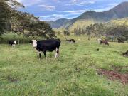 Top Oxapampa