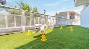 Geoje Blueberry Pet Pension