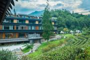 Top Zhongxing