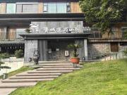 Top Zhongxing