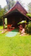 Top Rio Celeste